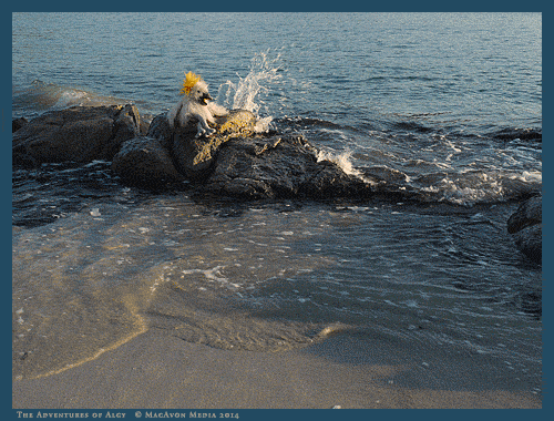 Algy Beside The Sea